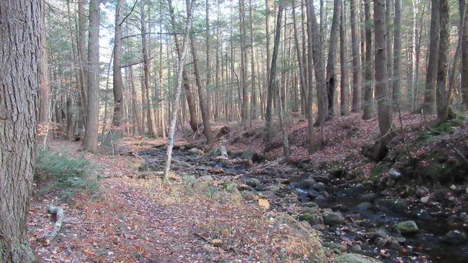 Rock strewn stream with trail and blue boundary marker