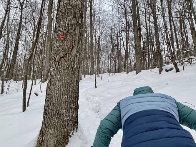 Hiking up the Pitchoff Mountain Trail