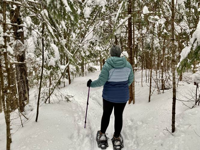 Snowshoeing through snow-covered trees along the Pitchoff Mountain Trail