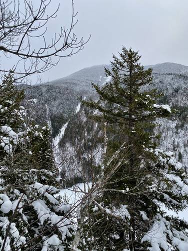 Vista of Cascade Mountain