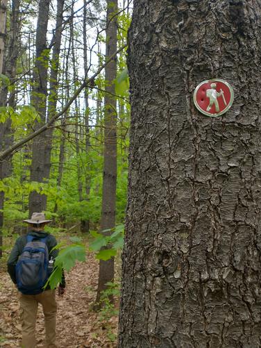Example of trail marker 