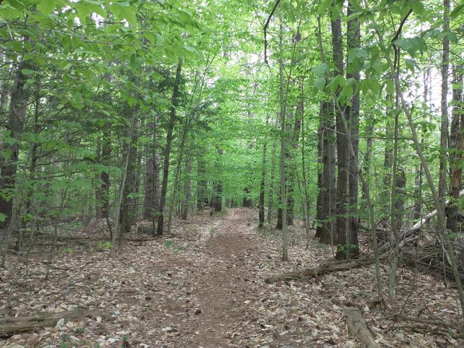 Trail substrate 