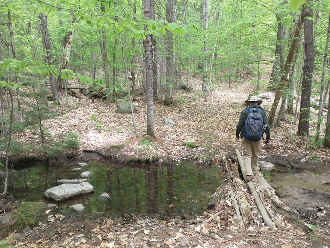 Choose your method of crossing the stream