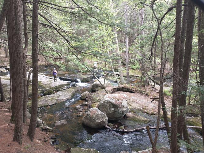 View of Cascades from trail