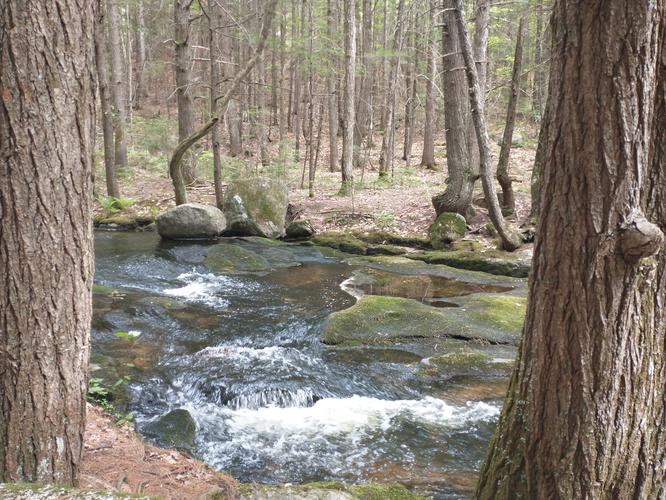 Flowing waters of Forest Brook that feeds the Madison Cascades 