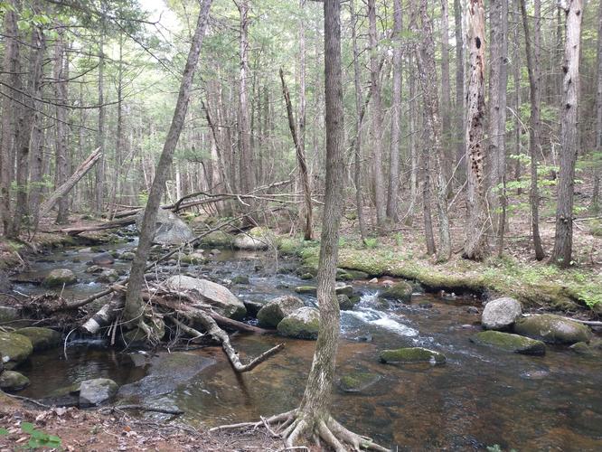 Looking upstream