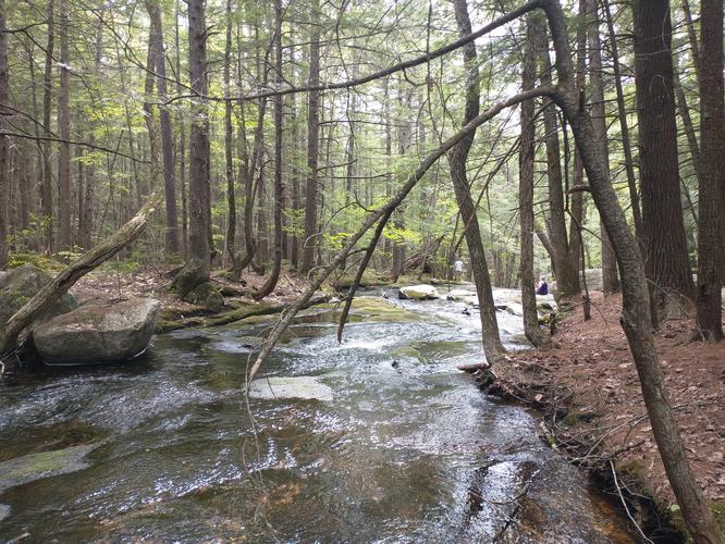 Cascades Trail - Cascades Trail album