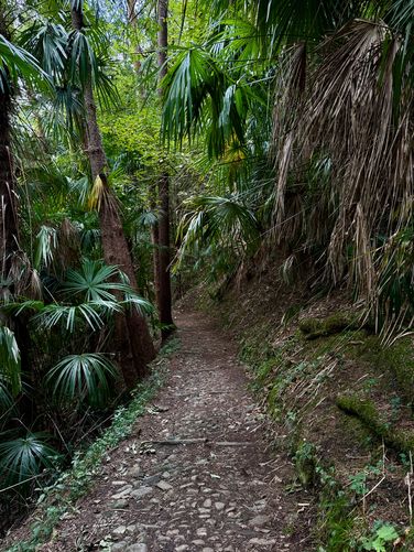 Picture 9 of Cascata di Tobi