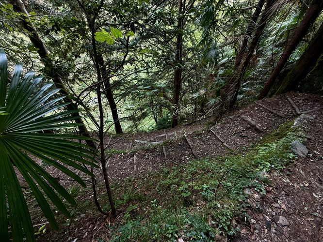 Switchbacks lead down the hillside