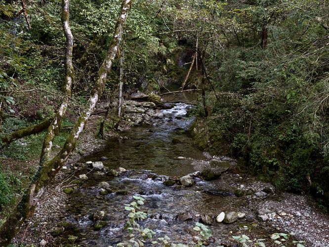 View of Torrente Sanagra