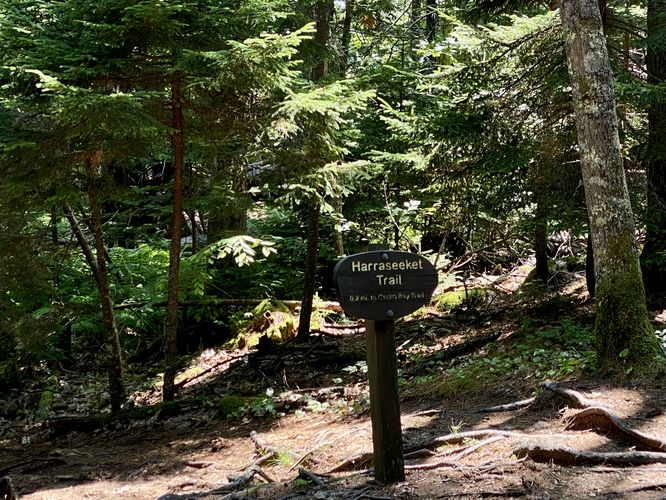 Harraseeket Trail sign