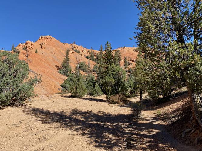 Hills surrounding Red Canyon's Cassidy Trail