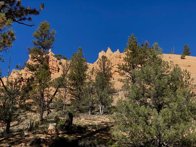 Towering rock formations off-trail in Red Canyon