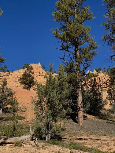 Towering rock formations off-trail in Red Canyon