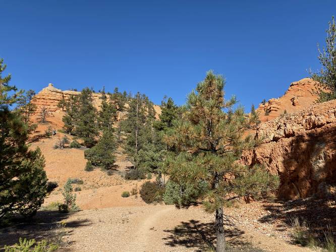 Hiking up the Cassidy Trail and into Red Canyon