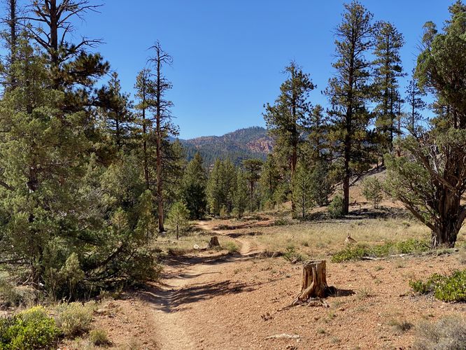 Cassidy Trail (Red Canyon Trailhead)