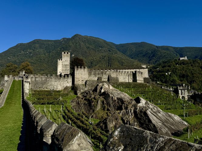 View of Castel Grande and its surrounding vineyard