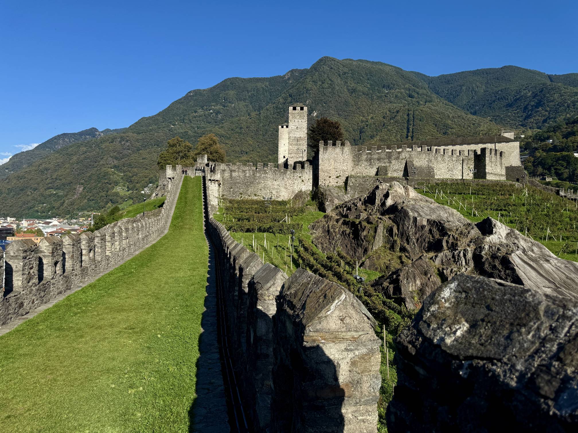 A view of Castel Grande and its hillside vineyards from the grass-covered rampart walls of the castle in Bellinzona, Switzerland.
