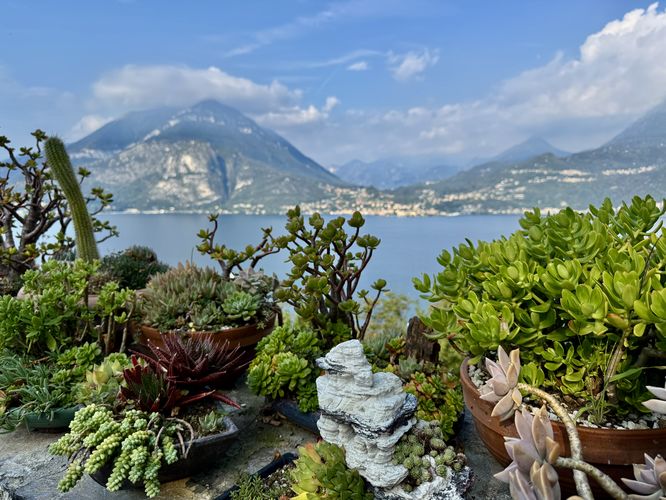 Picture 15 of Castle of Vezio