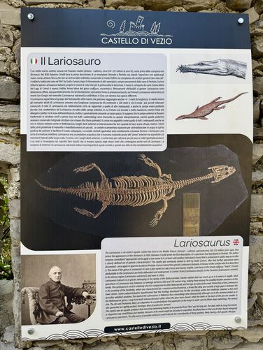 Picture 41 of Castle of Vezio