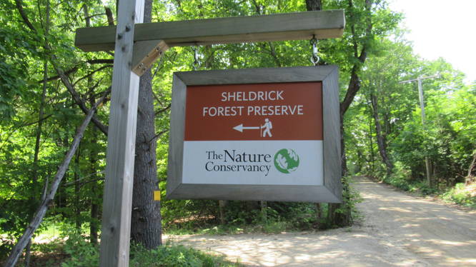 Road Sign for Sheldrick Forest Preserve