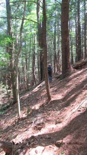 Steep narrow section of the Flyway Trail