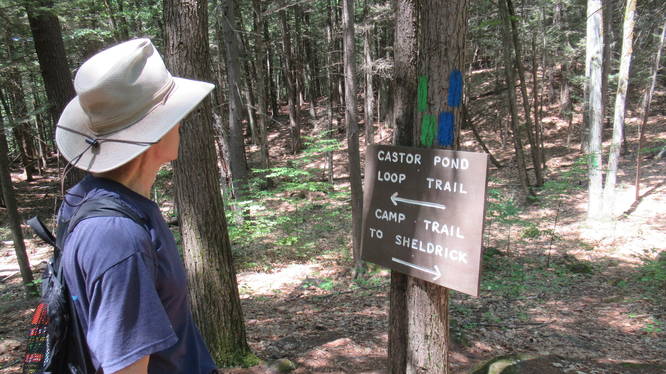 Junction of Camp Trail and Castor Loop Trail
