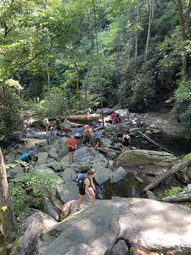 Picture 7 of Catawba Falls