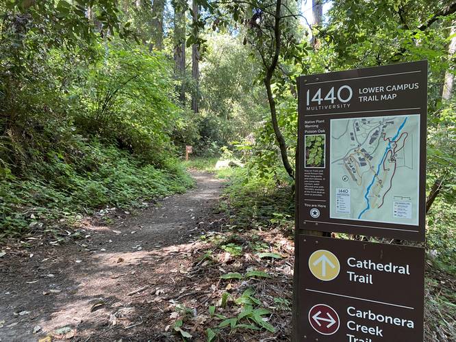 Picture 2 of Cathedral Trail 1440 Multiversity