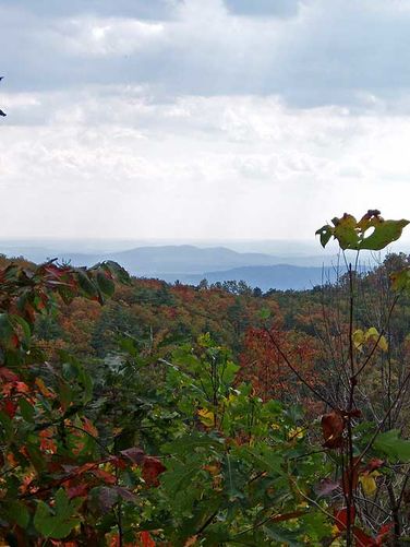 Picture 32 of Catlett Mountain Hike 102007