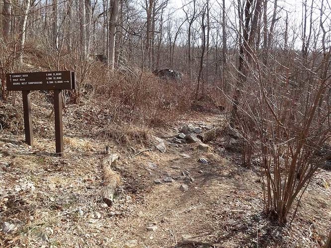 Picture 20 of Catoctin Mountain Park Hike 033013