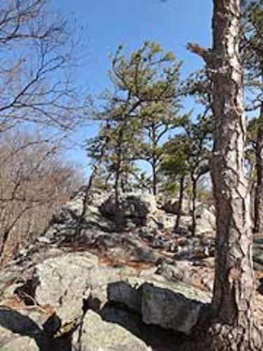 Picture 14 of Catoctin Mountain Park Hike 033013