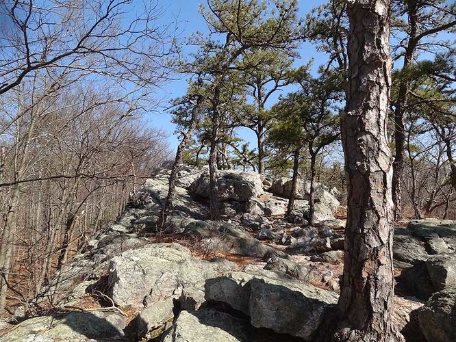 Picture 19 of Catoctin Mountain Park Hike 033013