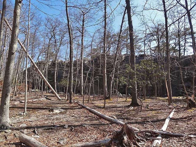 Picture 2 of Catoctin Mountain Park Hike 033013