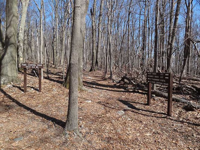 Picture 3 of Catoctin Mountain Park Hike 033013