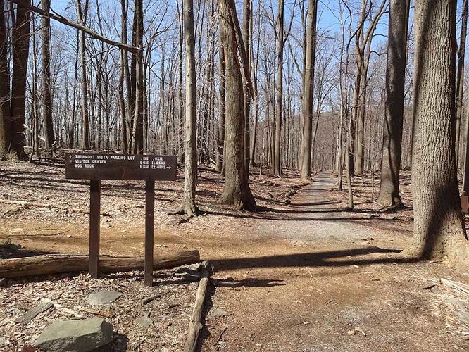 Picture 5 of Catoctin Mountain Park Hike 033013
