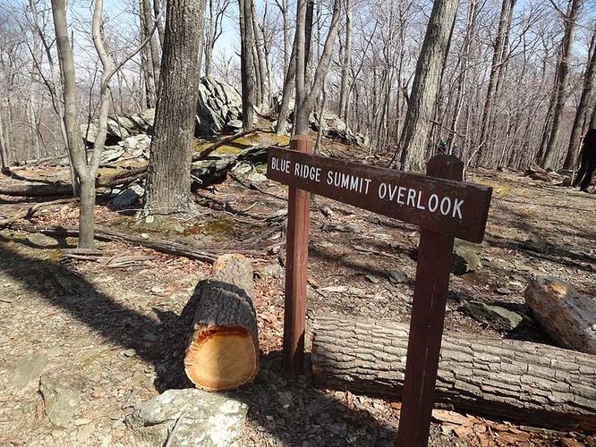 Picture 6 of Catoctin Mountain Park Hike 033013