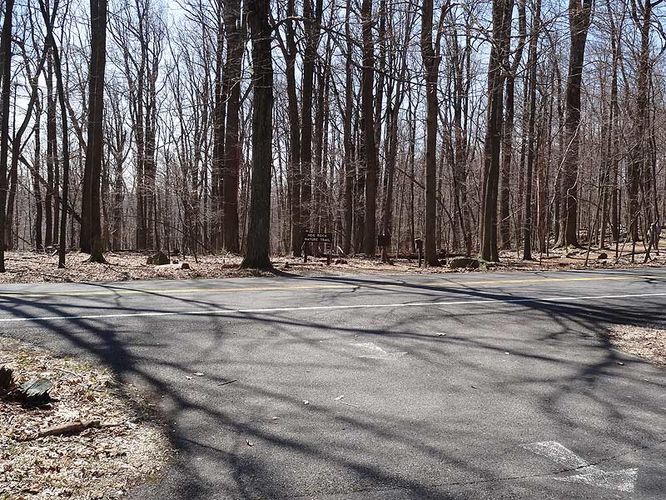Picture 9 of Catoctin Mountain Park Hike 033013