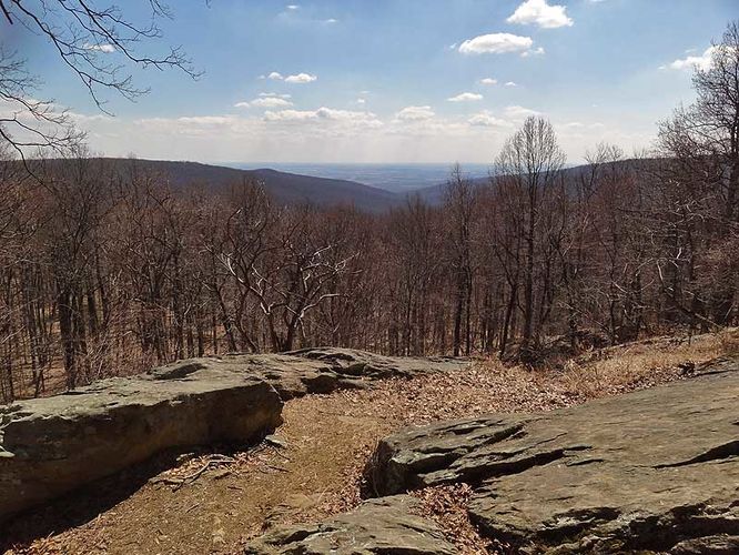 Picture 10 of Catoctin Mountain Park Hike 033013