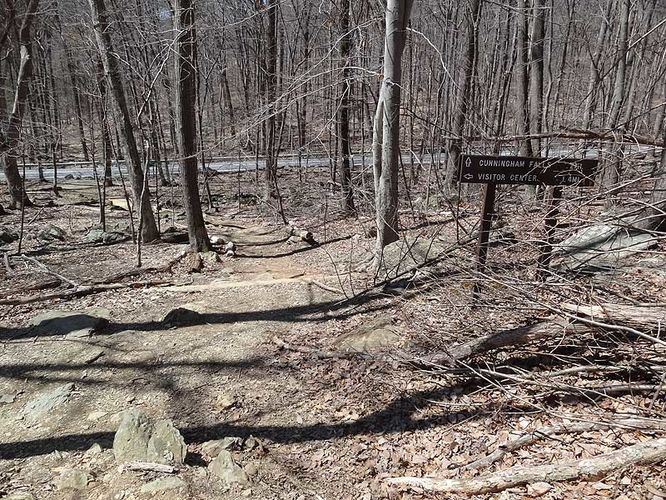 Picture 11 of Catoctin Mountain Park Hike 033013