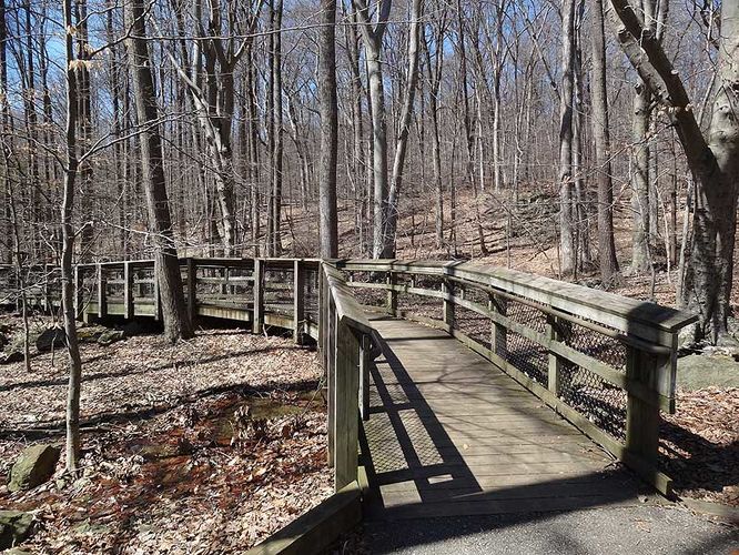 Picture 12 of Catoctin Mountain Park Hike 033013