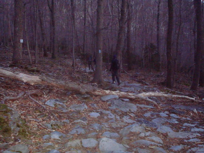 Picture 4 of Catoctin Trail Hike 032611