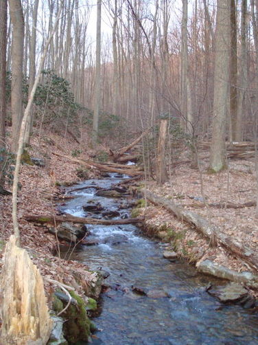 Picture 8 of Catoctin Trail Hike 032611