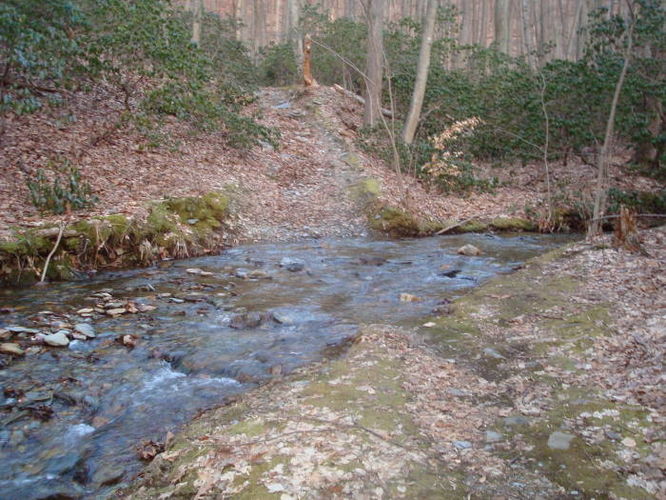 Picture 9 of Catoctin Trail Hike 032611