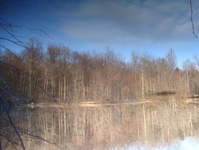 Picture 10 of Catoctin Trail Hike 032611