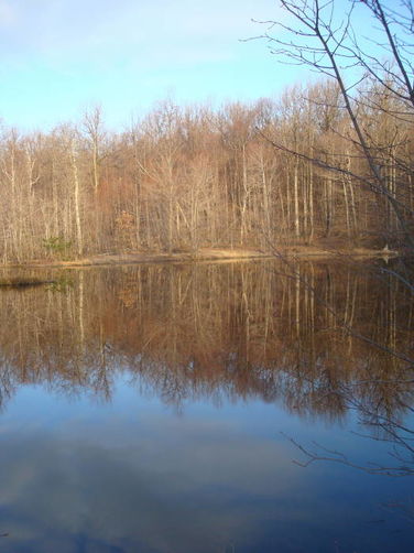 Picture 11 of Catoctin Trail Hike 032611