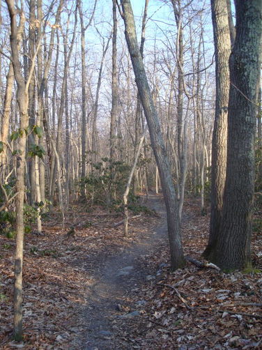 Picture 13 of Catoctin Trail Hike 032611