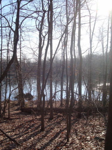 Picture 15 of Catoctin Trail Hike 032611