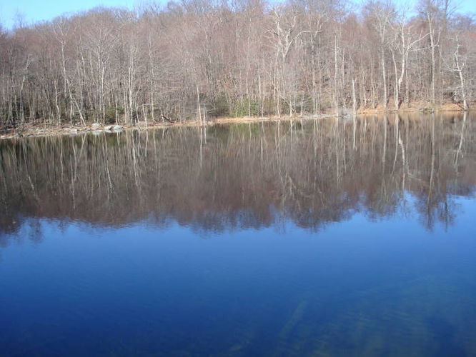 Picture 16 of Catoctin Trail Hike 032611