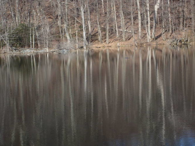 Picture 18 of Catoctin Trail Hike 032611